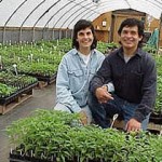 How to Grow 500 Chile Varieties: Janie and Fernando of Cross Country Nurseries