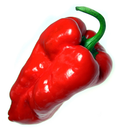Red Poblano