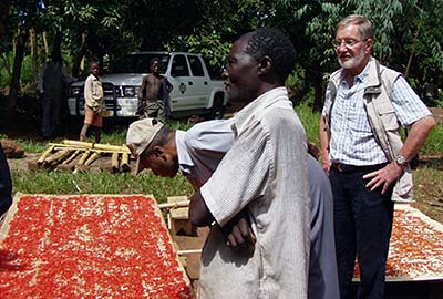 Ton Benink (right) of Griffin International with Growers of Birdseye Chiles in Malawi