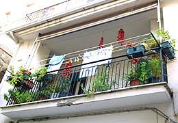 Chiles drying on a balcony