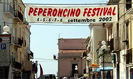 Festival Banner