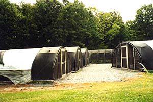 Outside view of greenhouses