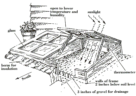 A Cold Frame