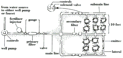 A Drip Irrigation System