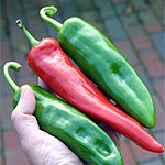Cooking with Fresh Chile Peppers