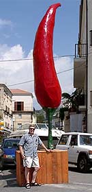 The world's largest chile pod?