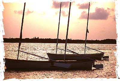 Tiny Sailboats at Sunset
