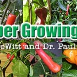 Maximizing Your Pepper Pod Yield