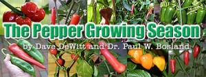 The Pepper Growing Season, by Dave DeWitt and Dr. Paul W. Bosland