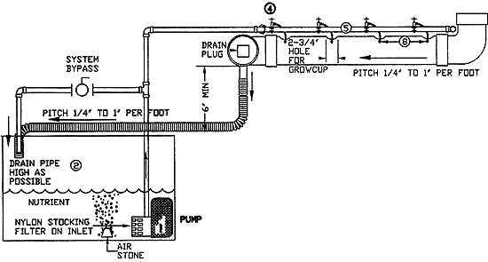 Hydroponic Elevation