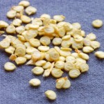 Hunting for Chile Seeds in Brazil