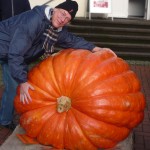 Harald and the Great Pumpkin