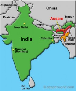 India, northeastern Staes Assam, Nagaland and Manipur, City of Tezpur