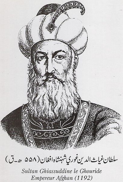 This sultan ruled Afghanistan in 1192