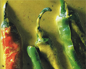 Mild Chiles in a Nutty Sauce