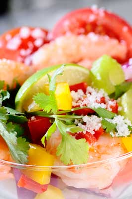 Mayan Shrimp Ceviche