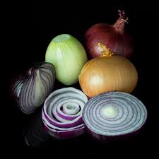 Onion Sauce (225x225)