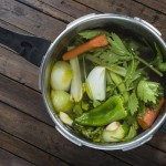 Vibrant Vegetable Stock