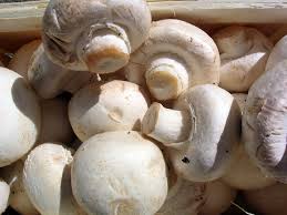 sherry mushrooms