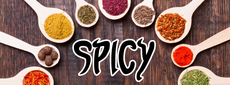Spicy - Delicious, easy-to-make recipes for spicy food lovers